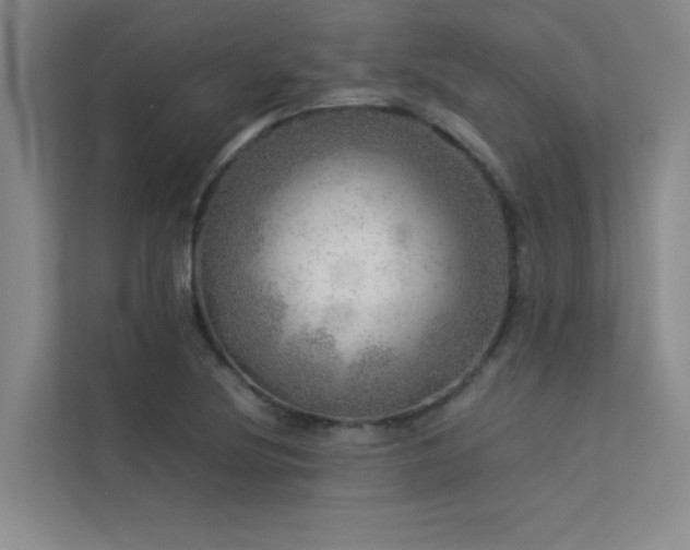 X0000113311220200909141305