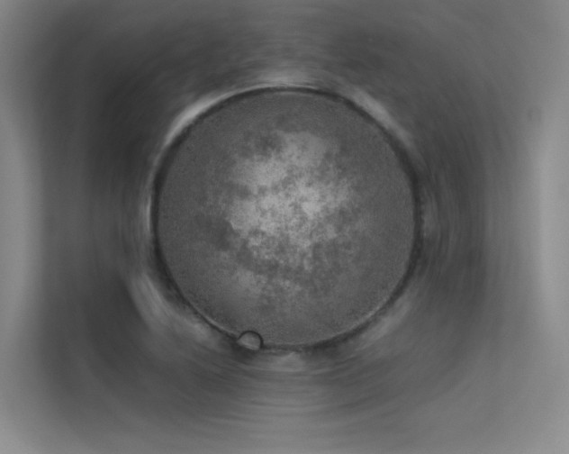 X0000113311222200909141305