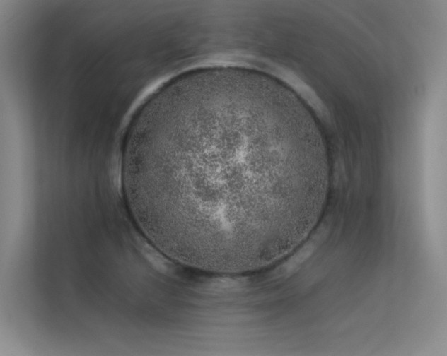 X0000113311224200909141305