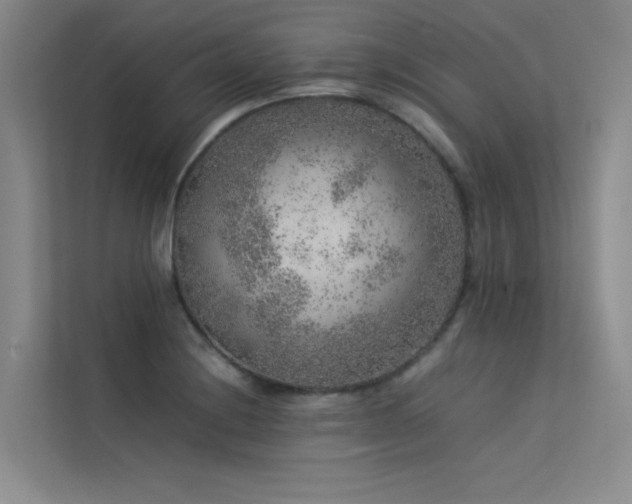 X0000113311228200909141305