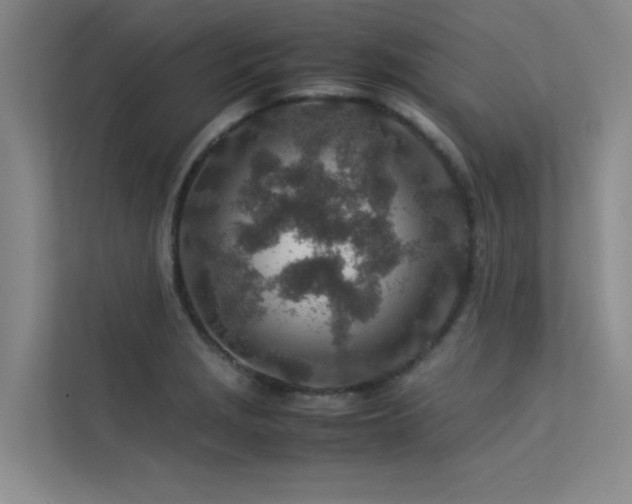 X0000113311229200909141305