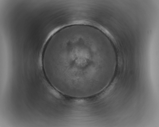 X0000113311230200909141305