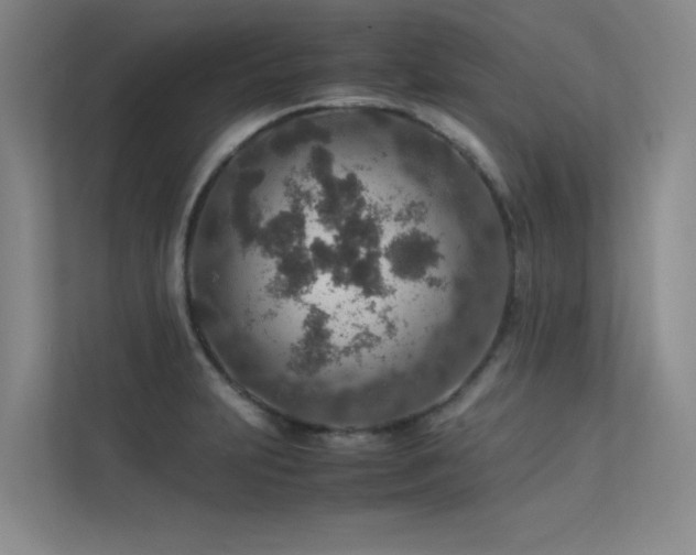 X0000113311231200909141305