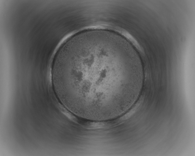 X0000113311232200909141305