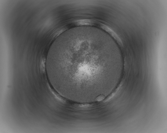 X0000113311233200909141305