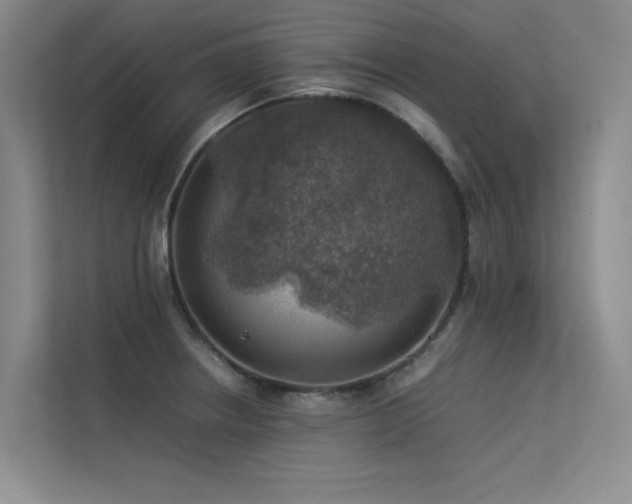 X0000113311234200909141305