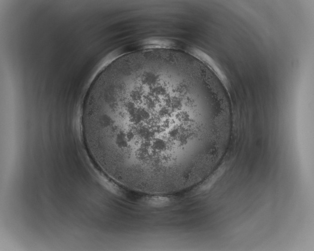 X0000113311235200909141305