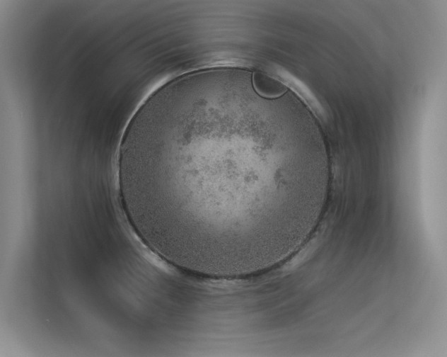 X0000113311236200909141305