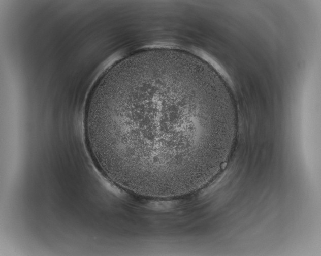 X0000113311237200909141305