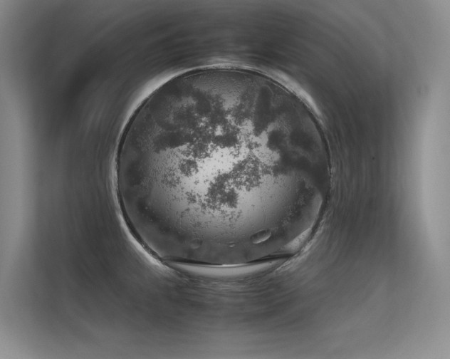 X0000113311239200909141305