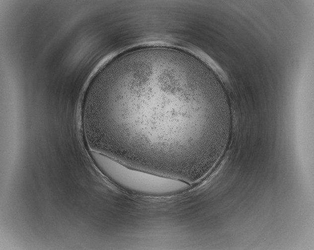 X0000113311240200909141305