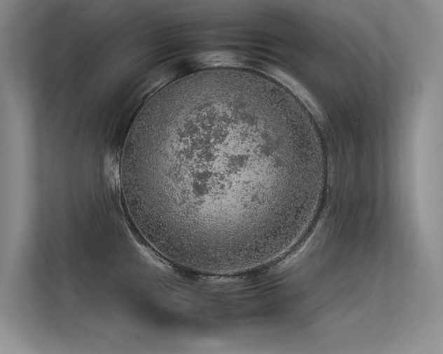 X0000113311241200909141305