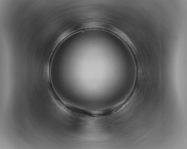 X0000113311242200909141305