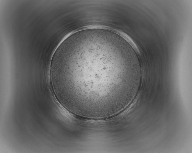 X0000113311244200909141305