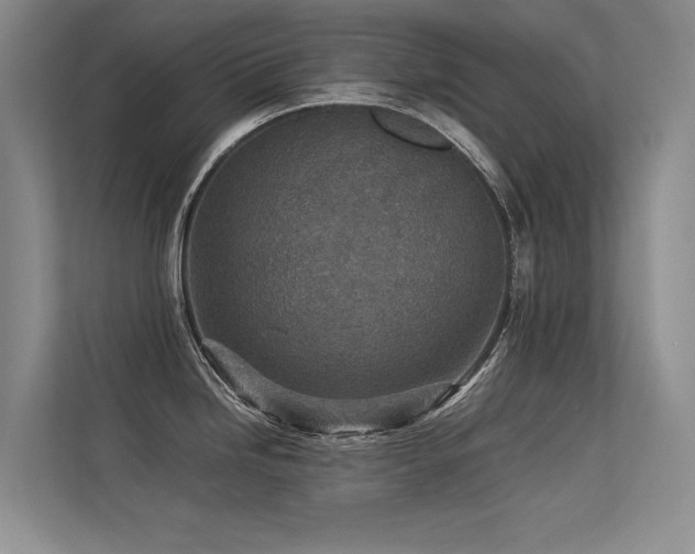 X0000113311246200909141305