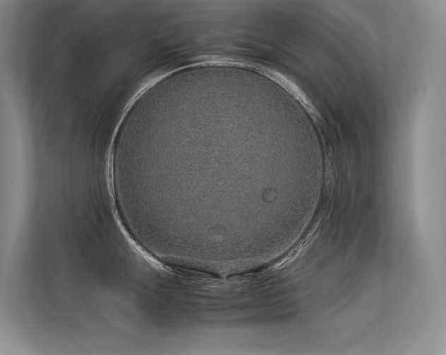 X0000113311247200909141305