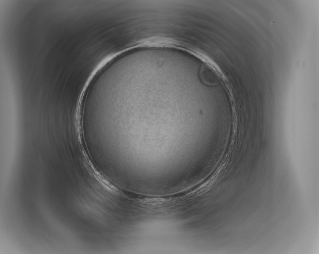 X0000113311248200909141305