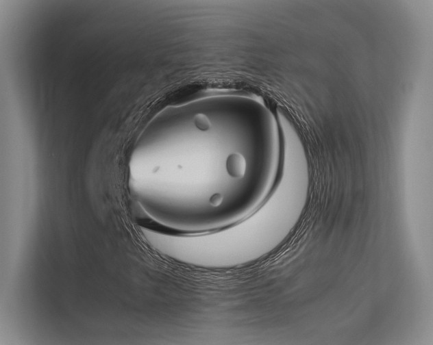 X0000113311249200909141305