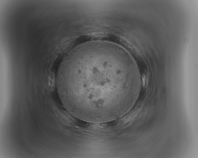 X0000113311251200909141305