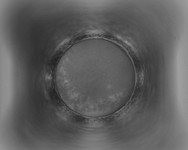 X0000113311254200909141305