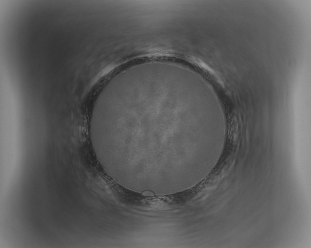 X0000113311255200909141305