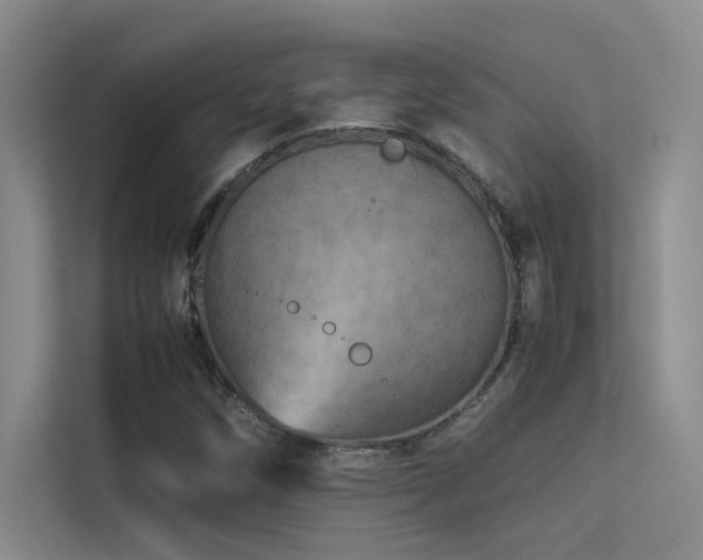 X0000113311258200909141305