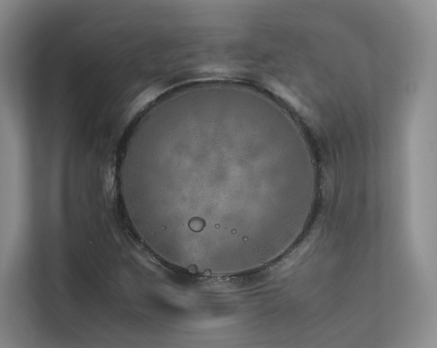 X0000113311259200909141305