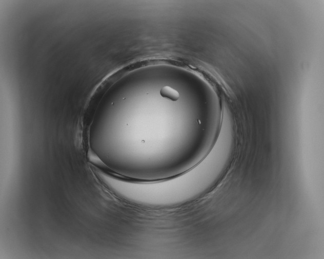 X0000113311260200909141305