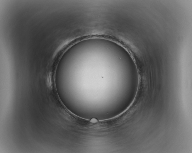 X0000113311262200909141305