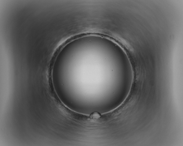 X0000113311264200909141304