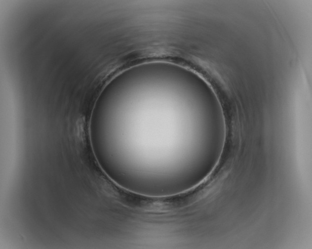 X0000113311265200909141304