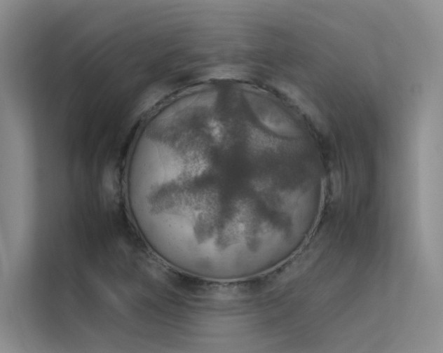 X0000113311266200909141304