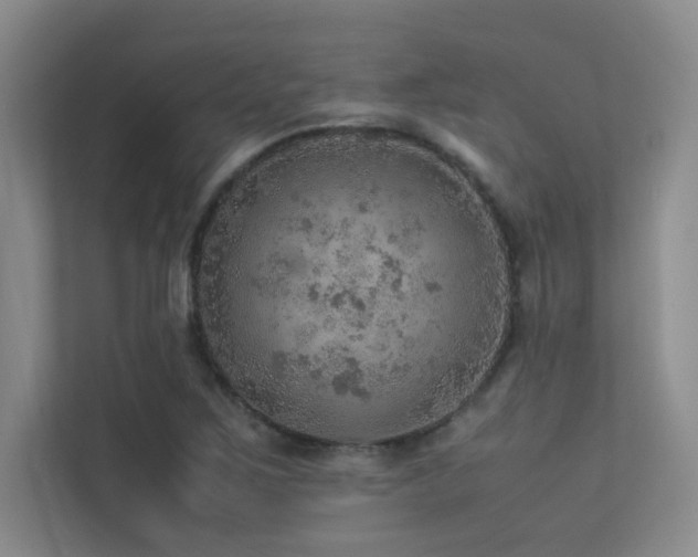 X0000113311267200909141304