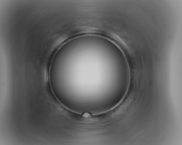 X0000113311269200909141304