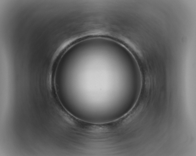 X0000113311270200909141304