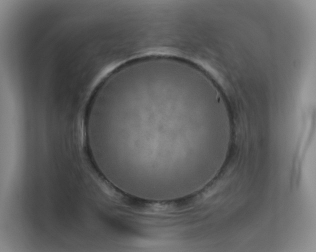 X0000113311271200909141304