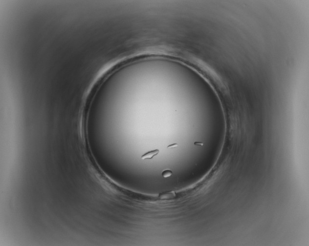 X0000113311272200909141304