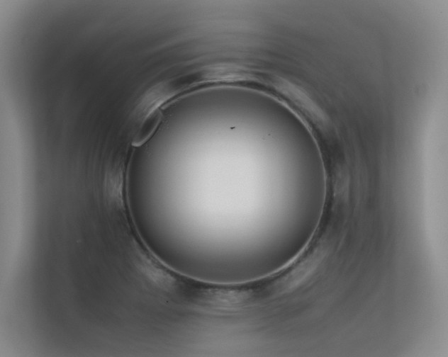 X0000113311273200909141304