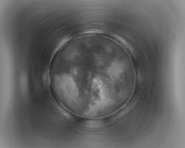 X0000113311274200909141304