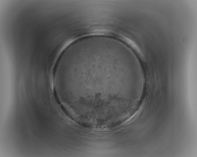 X0000113311275200909141304