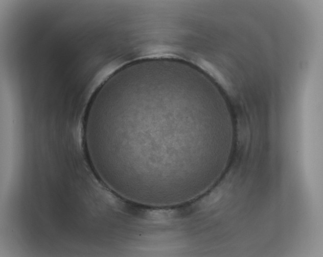 X0000113311277200909141304