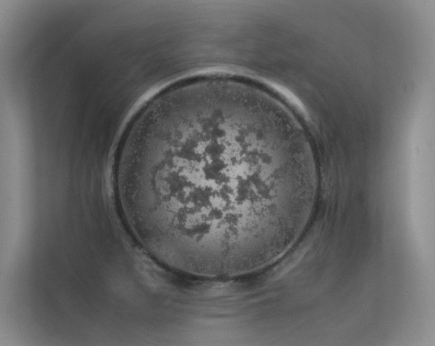 X0000113311279200909141304