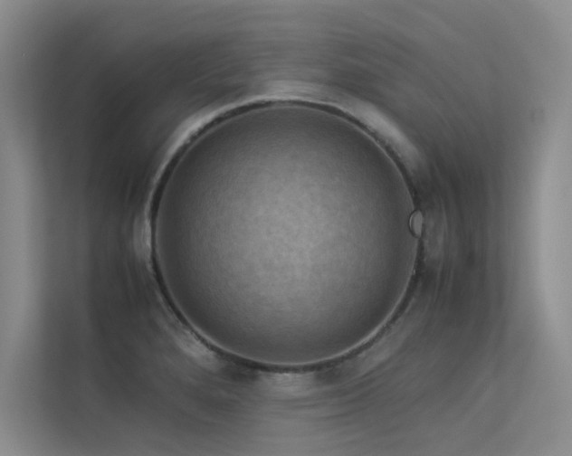 X0000113311280200909141304