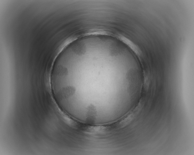 X0000113311282200909141304