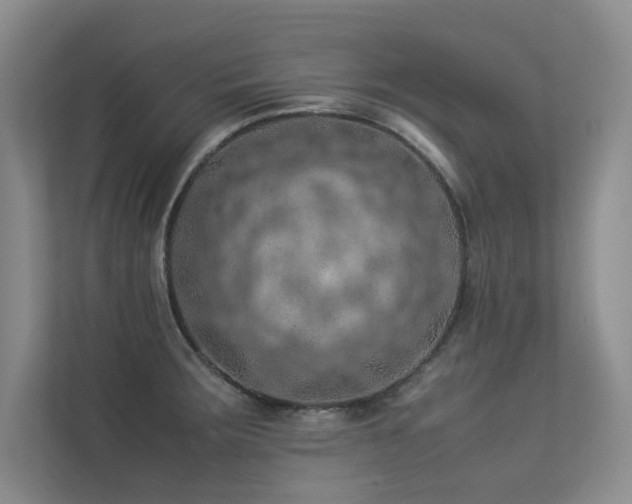 X0000113311283200909141304