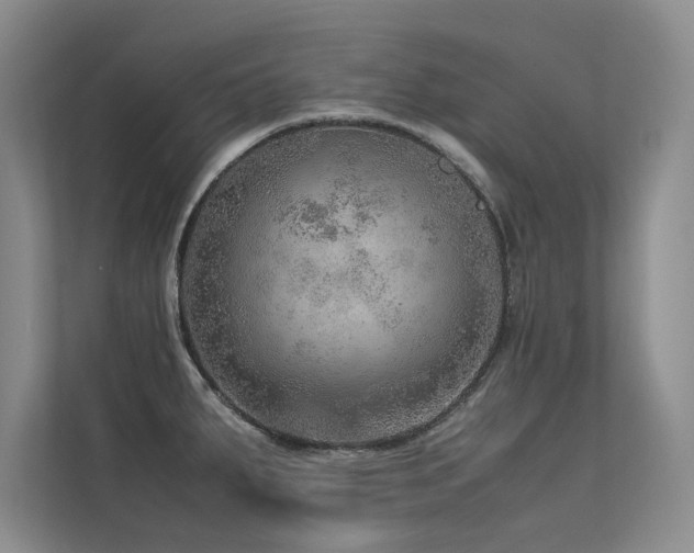 X0000113311287200909141304