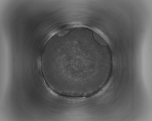 X0000113311289200909141304