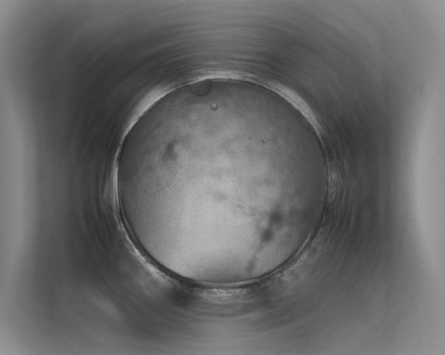 X0000113311290200909141304