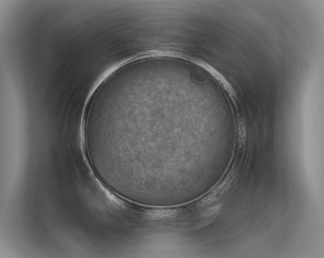 X0000113311294200909141304