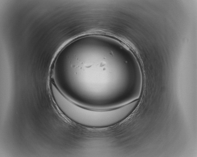 X0000113311296200909141304